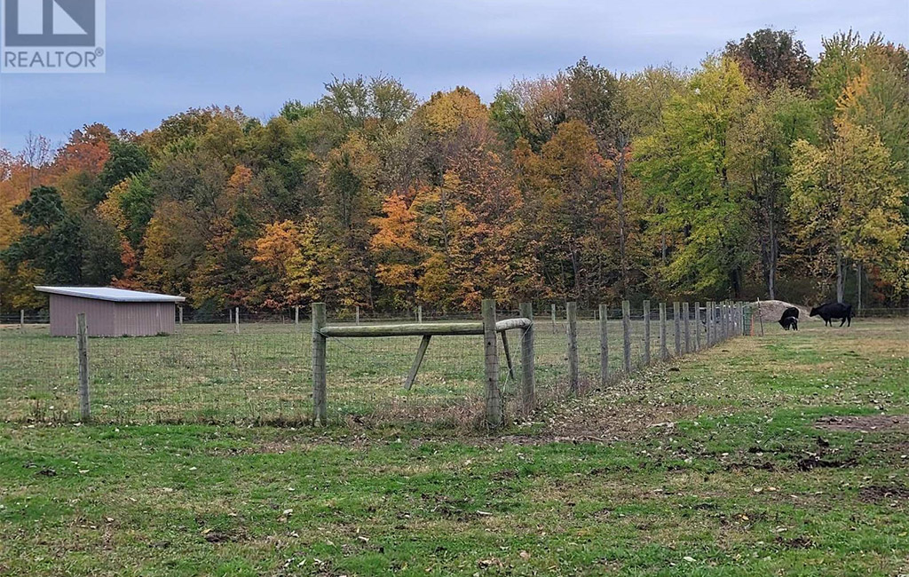 jenny mcmullin - driver realty brokerage sales representative