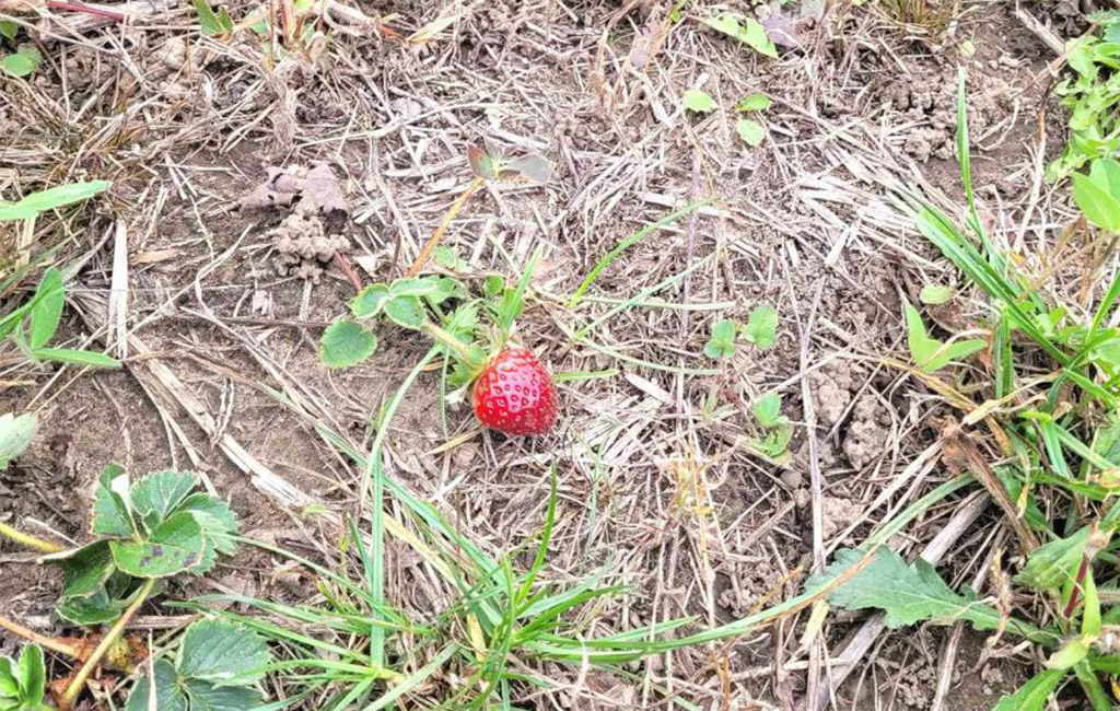 jenny mcmullin - driver realty brokerage sales representative