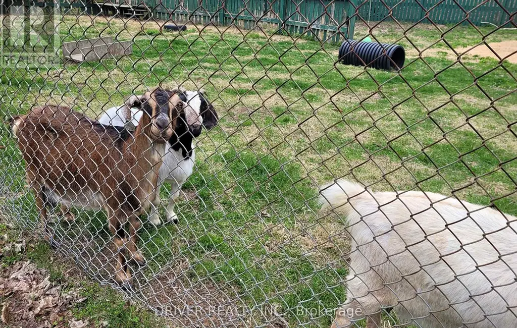 89 – 930 Lakeshore Road — Park Animals